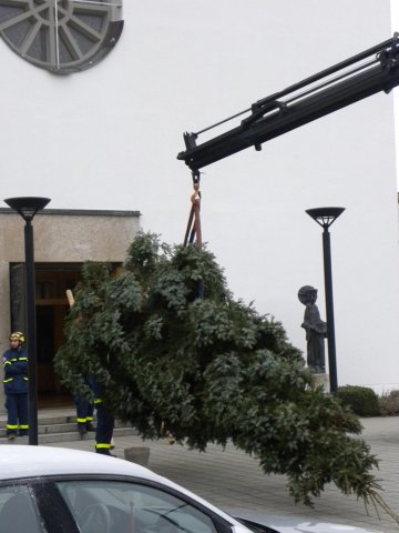 Christbaumaufstellen 2016 05
